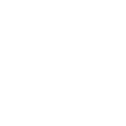 Leon Electric LLC